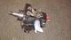 Тнвд 2.3 Fiat Ducato